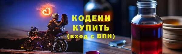 дмт Бородино