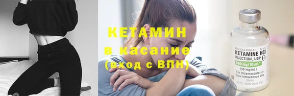 дмт Бородино