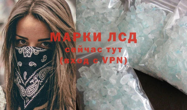 дмт Бородино