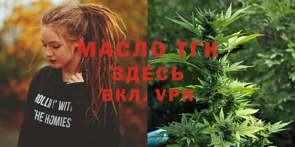 дмт Бородино
