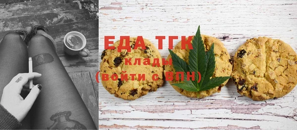 дмт Бородино