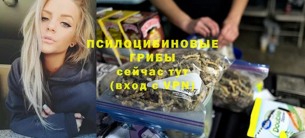 ПСИЛОЦИБИНОВЫЕ ГРИБЫ Бронницы