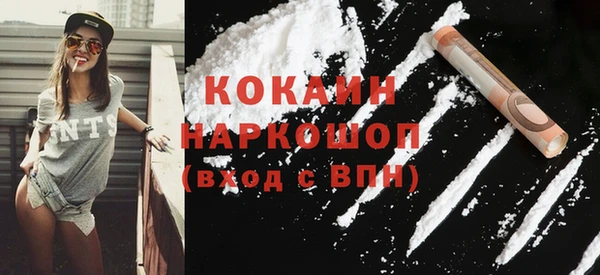 дмт Бородино