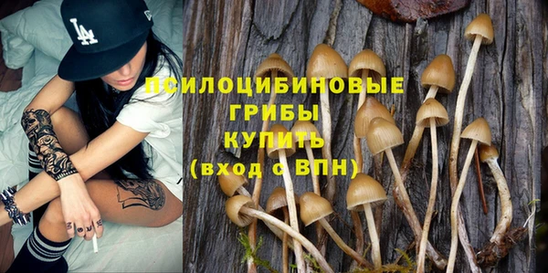 ПСИЛОЦИБИНОВЫЕ ГРИБЫ Бронницы