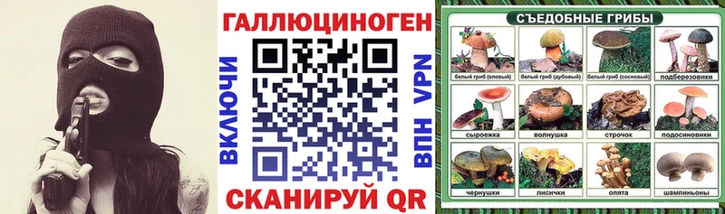 Галлюциногенные грибы прущие грибы  где купить наркоту  Демидов 
